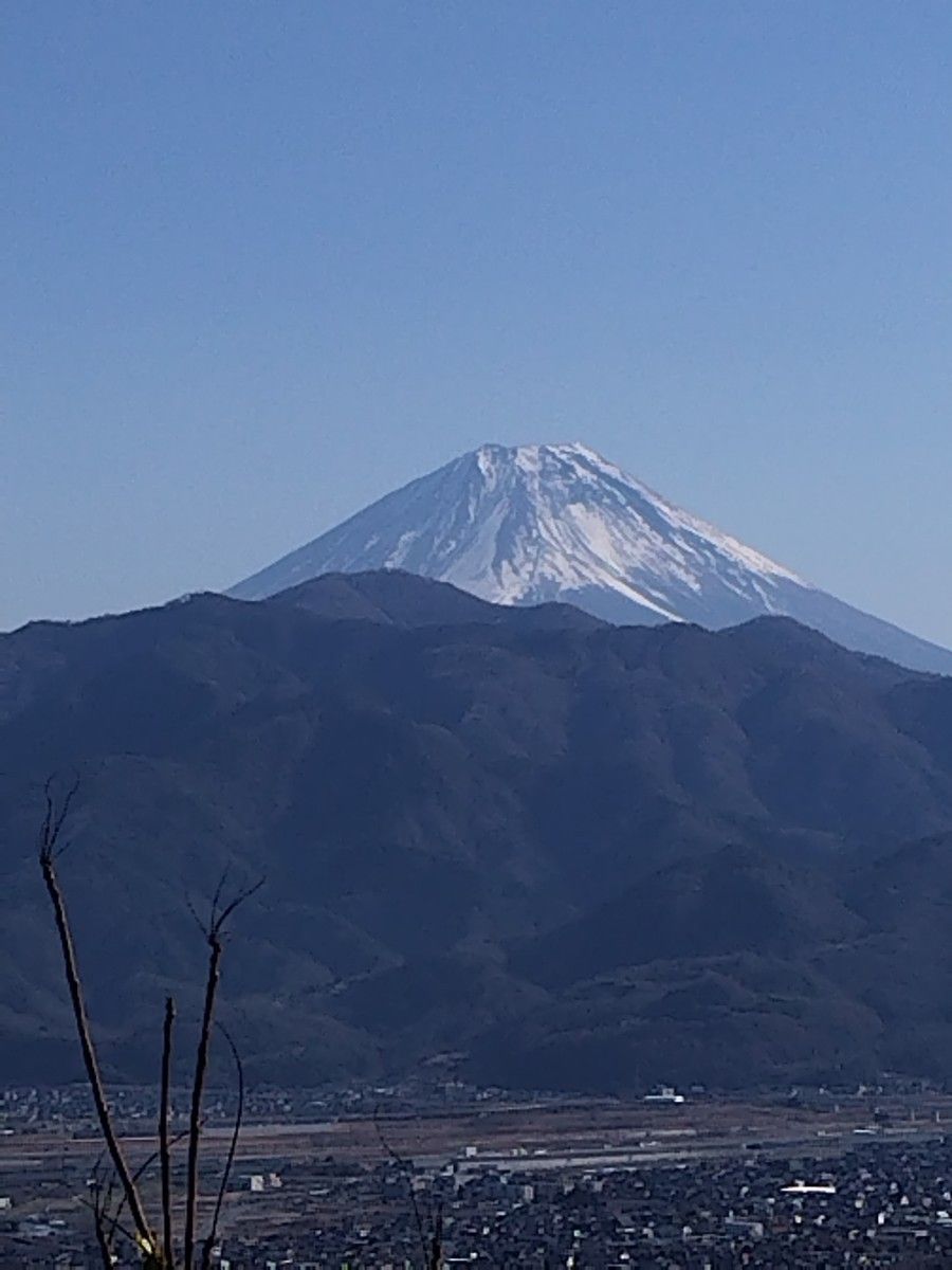 山梨県産　アカシア蜂蜜　300g（トンガリ容器）　1本入り　2023 年5月採り