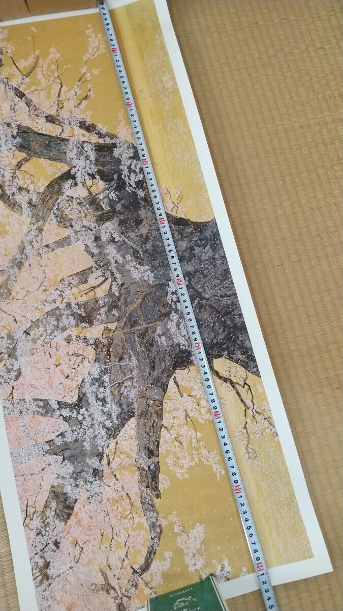 after wistaria original man [ Sakura flower ... map ]? paper made poster Hokkaido after wistaria original Hara art gallery buy goods unused storage goods ( earth )( day ) only shipping possibility 