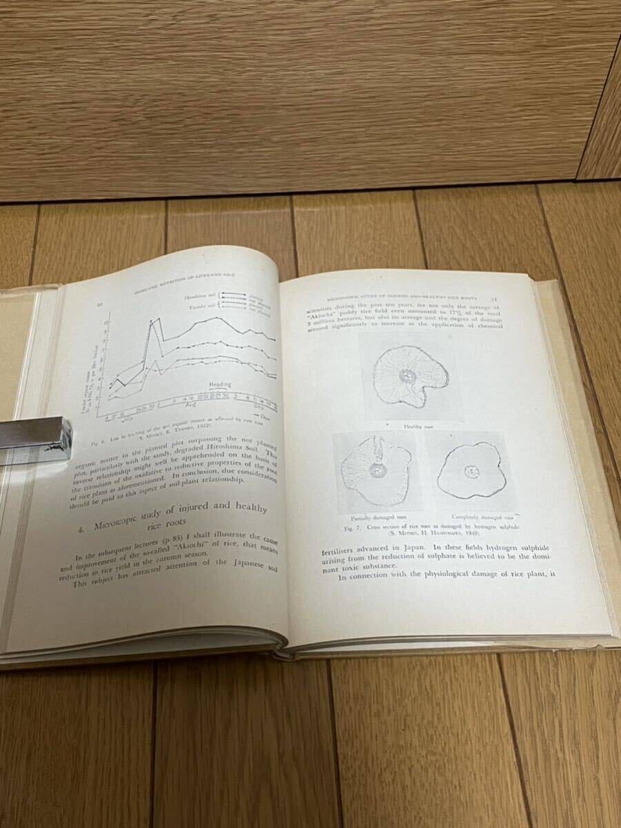 INORGANIC NUTRITION FERTILISATION and SOIL AMELIORATION for Lowland Rice☆ユースド☆詳細不明☆クリックポスト☆洋書☆古書☆古本_画像6