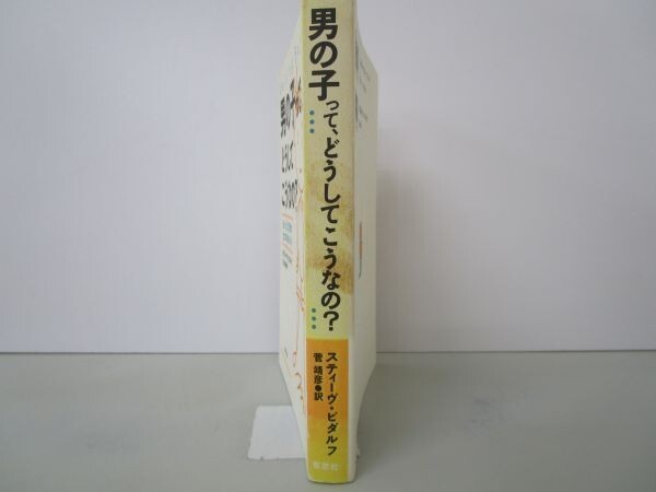 男の子って、どうしてこうなの?―まっとうに育つ九つのポイント t0603-dd5-ba_画像2