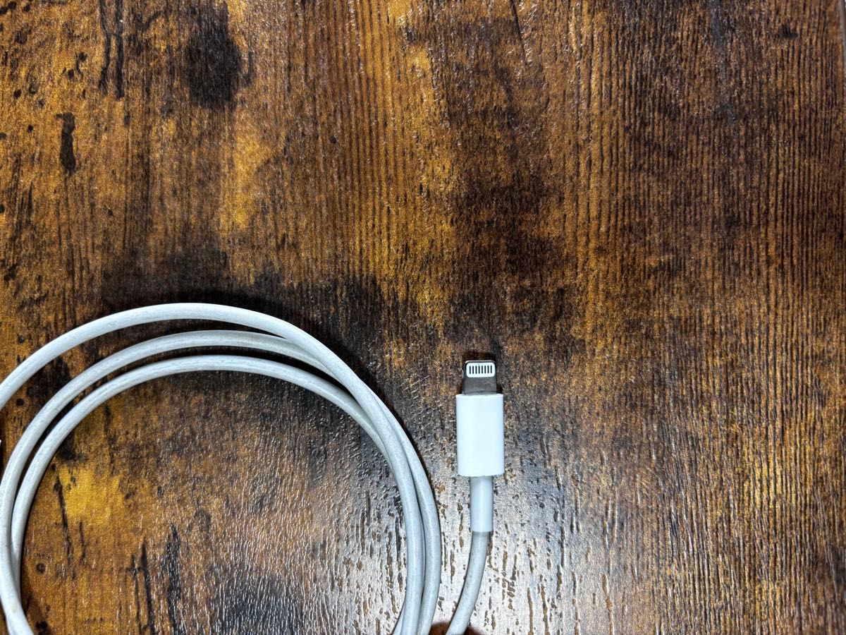 ケーブル Apple Lightning iPhone ライトニングケーブル アップル USB 純正