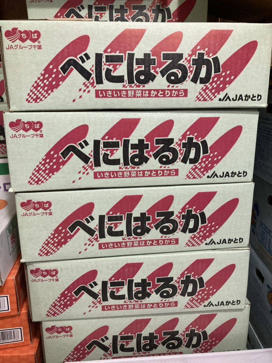 914特売さつまいも、紅はるか　べにはるか箱込み5kg_画像2