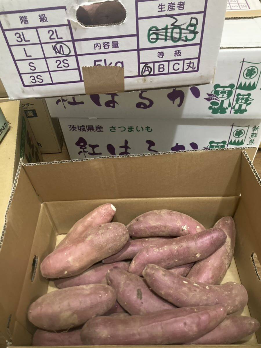 116.. bargain sweet potato,. is .. box included 5kg