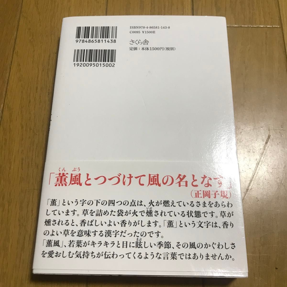 文豪の凄い語彙力 山口謠司／著