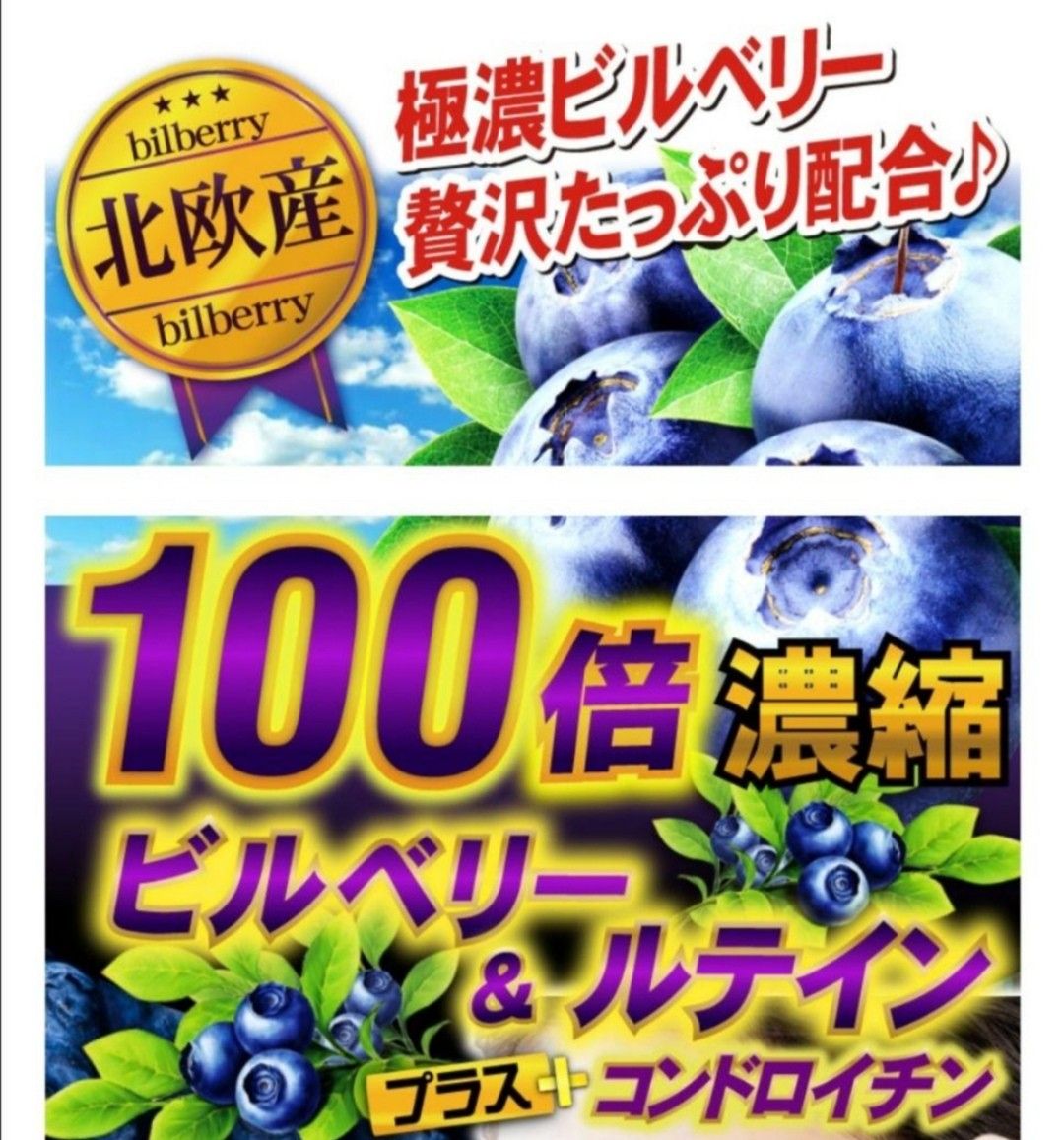 ビルベリー　ルテイン　アサイー　マキベリー　コンドロイチン　サプリ　6ヵ月分