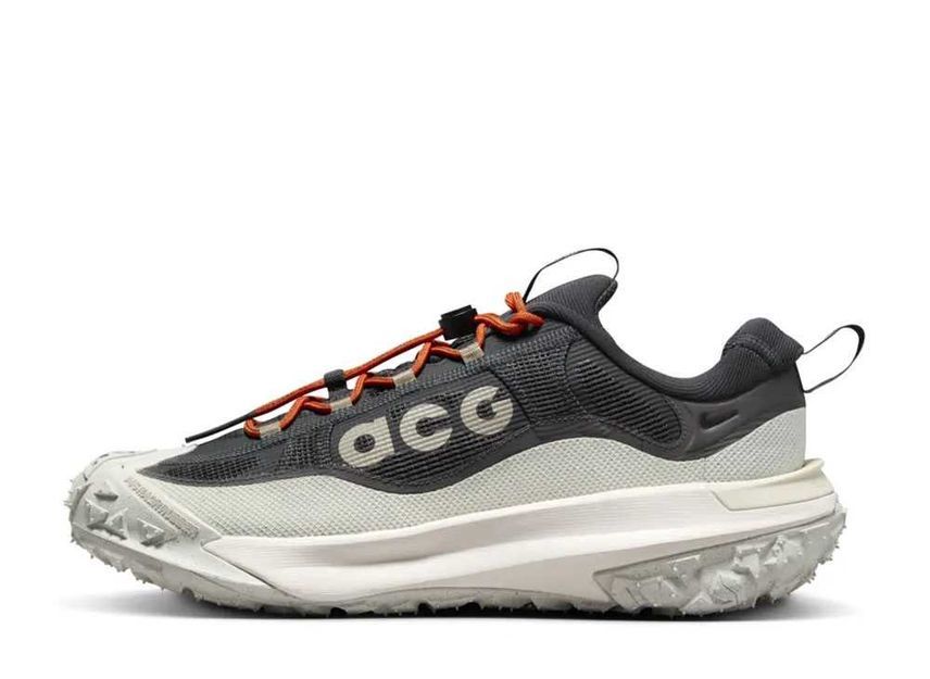 29.5cm Nike ACG Mounitan Fly 2 Low GORE-TEX "Light Orewood Brown and Medium Ash" 29.5cm HF6245-002