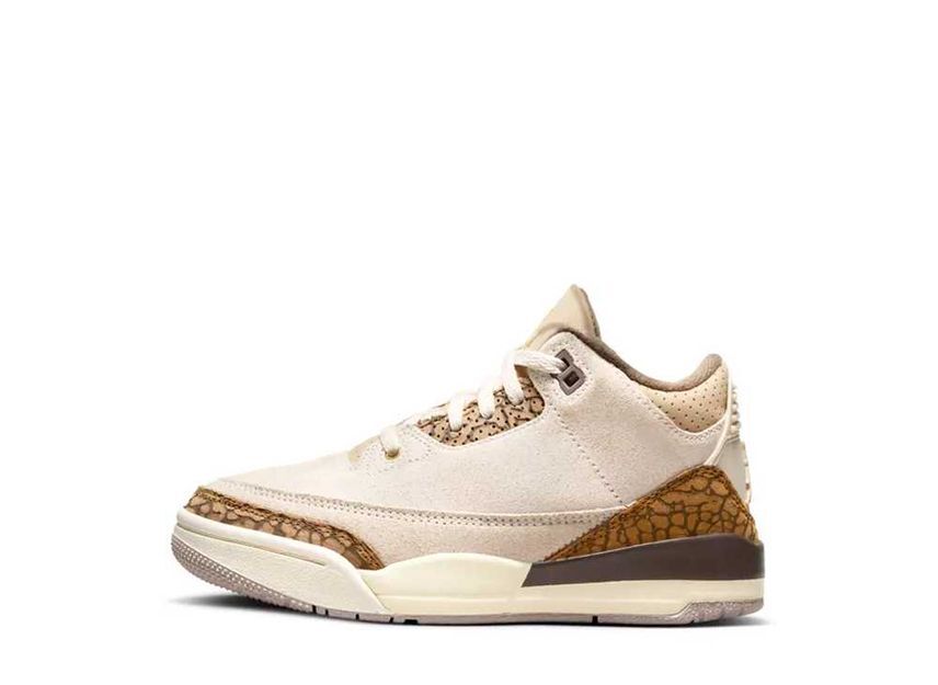 14cm～ Nike PS Air Jordan 3 Retro "Orewood Brown" 22cm DM0966-102