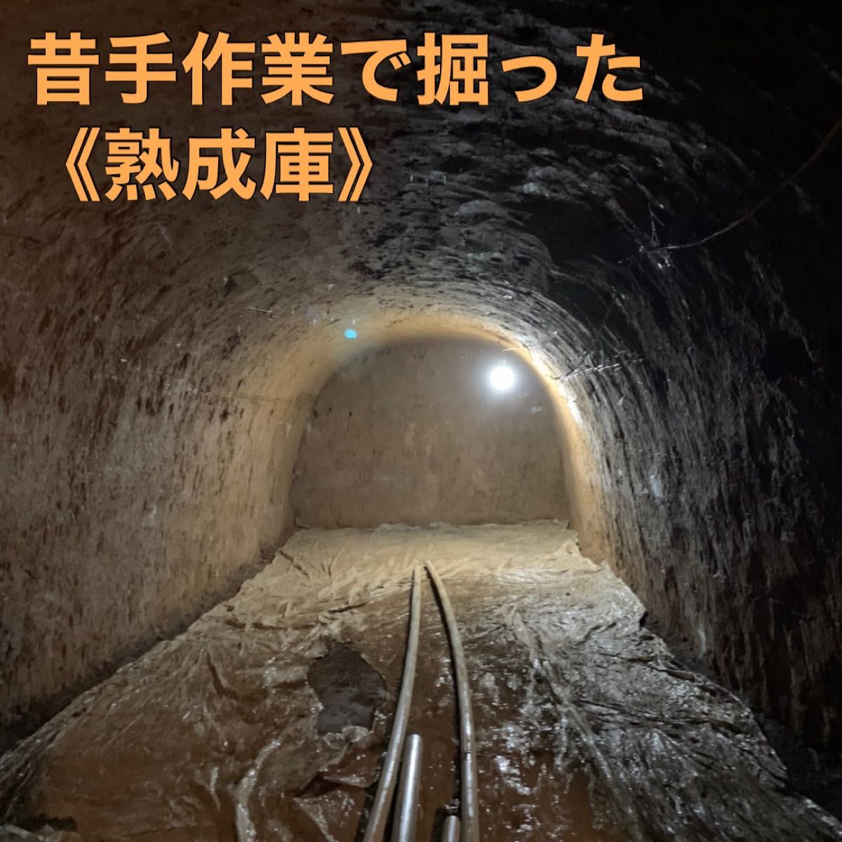 3末まで　セール　熟成さつまいも シルクスイート 5kg (箱こみ) 土つき　プチサイズ 千葉県産 2023年もの　DIfarm