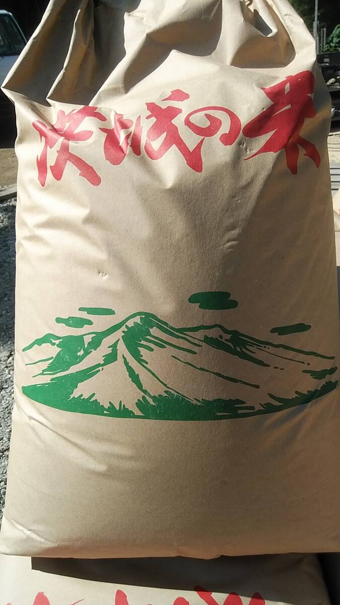規格外　生活応援のミルキークイーン　5年茨城県産　白米正味24キロ　送料込み_画像1