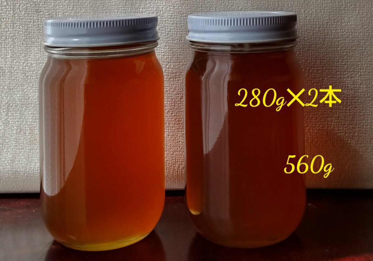 非加熱　日本ミツバチ　蜂蜜　百花蜜　　　国産　日本蜜蜂　560g_画像1