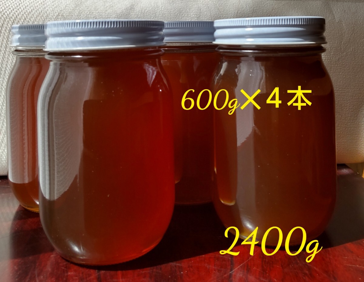 非加熱　日本ミツバチ　蜂蜜　百花蜜　　　国産　日本蜜蜂　2400g_画像1
