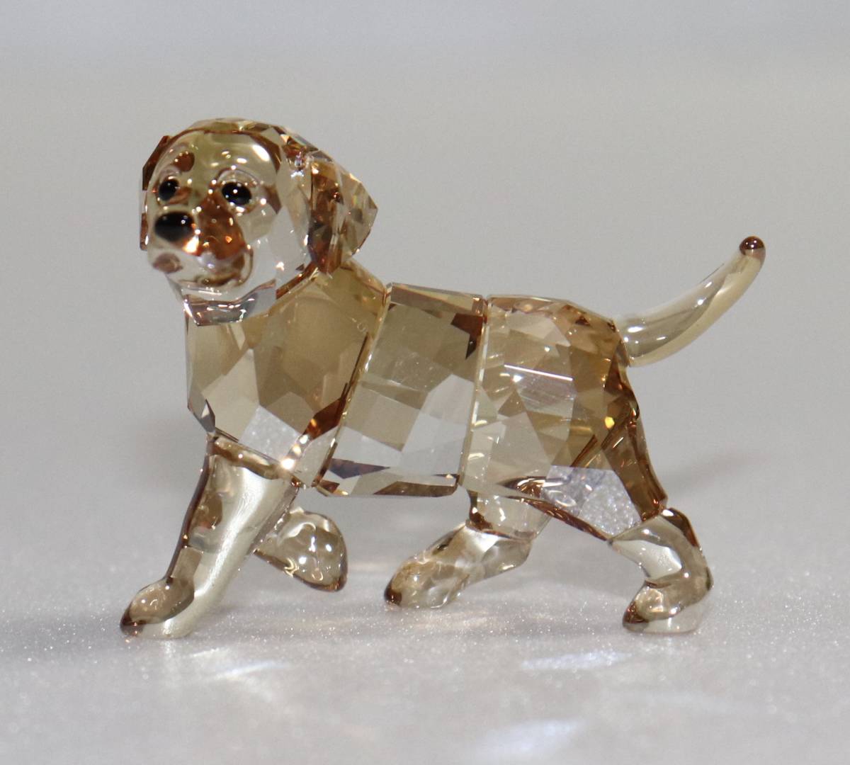 新品 本物 スワロフスキー 犬 置物 1142824 クリスタル SWAROVSKI 動物 6001_画像2