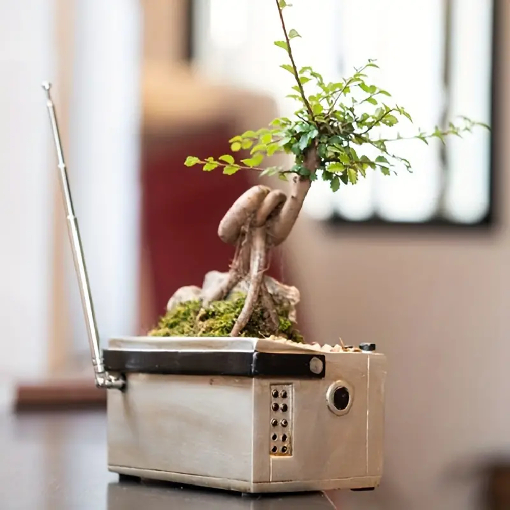 ラジオカセットレコーダー型ガーデンポット 植木鉢 プランター レトロ サボテン 多肉植物 ミニ観葉植物 お洒落 樹脂製 飾り 雰囲気作り