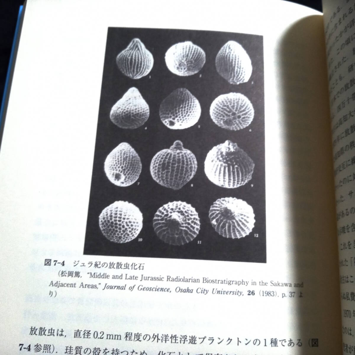 ★新装版★プレートテクトニクスの拒絶と受容　戦後日本の地球科学史　泊次郎　_画像9