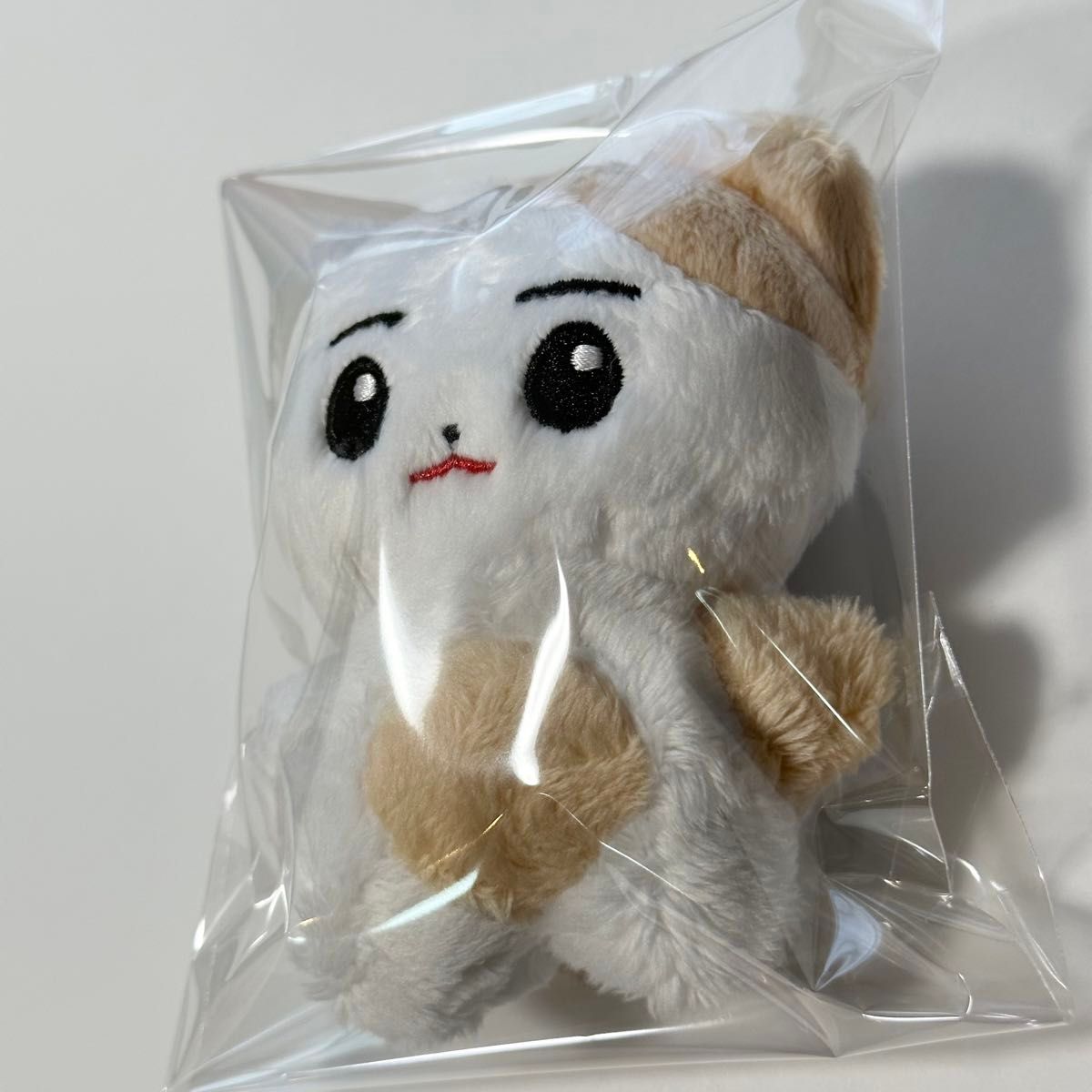 ENHYPEN エナイプン ヒスン ぬいぐるみ 10センチ ドール|Yahoo ENHYPEN エナイプン ヒスン ぬいぐるみ 10センチ ドール|Yahoo