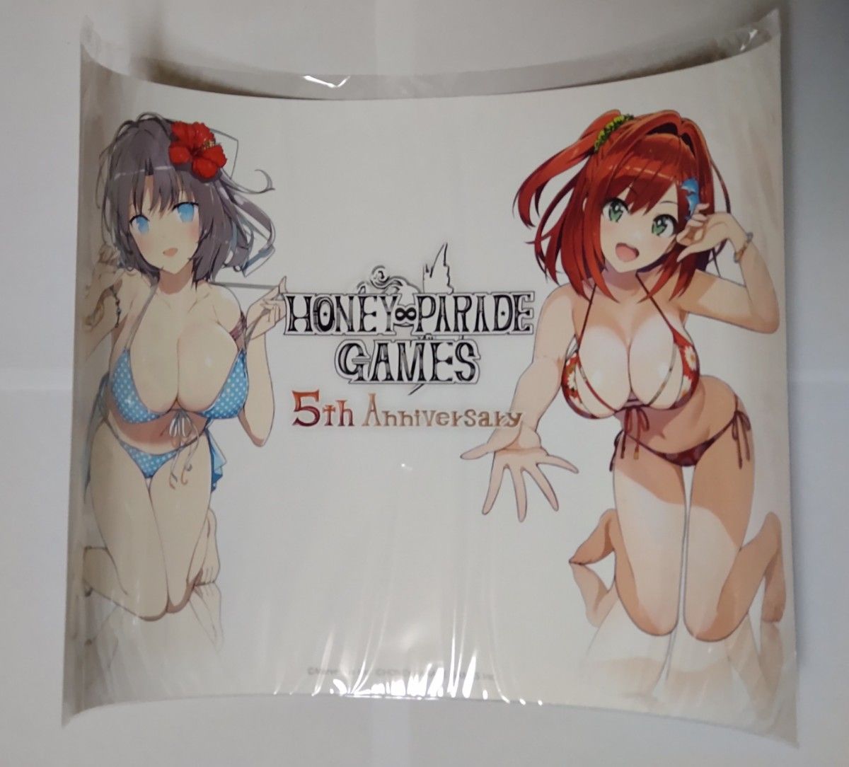 閃乱カグラ シノビマスター ドルフィンウェーブ ハニパレ 5周年記念 100名限定品 A3ポスター