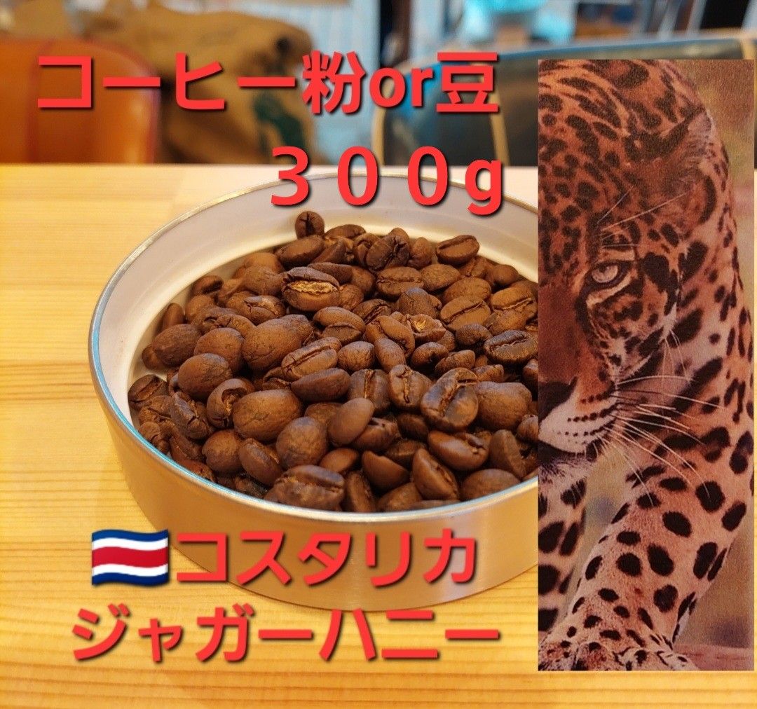 コーヒー粉orコーヒー豆300g　ジャガーハニー