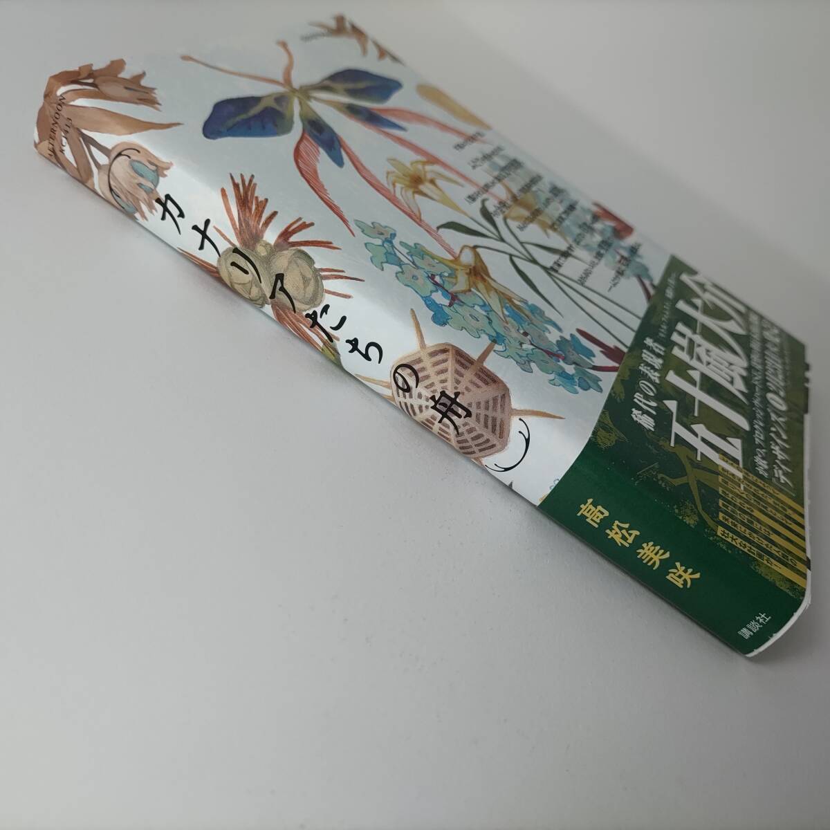 カナリアたちの舟 (アフタヌーンKC) 高松美咲 (著)　アニメイト購入特典イラストカード付 初版 帯付