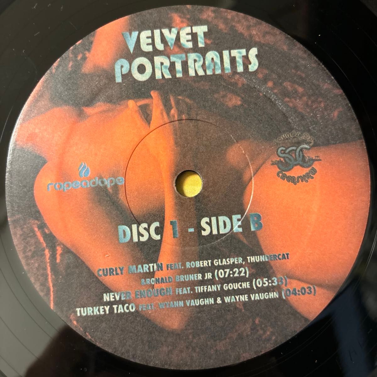 オリジナル盤 Terrace Martin Velvet Portraits レコード LP テレイス・マーティン ジャズ