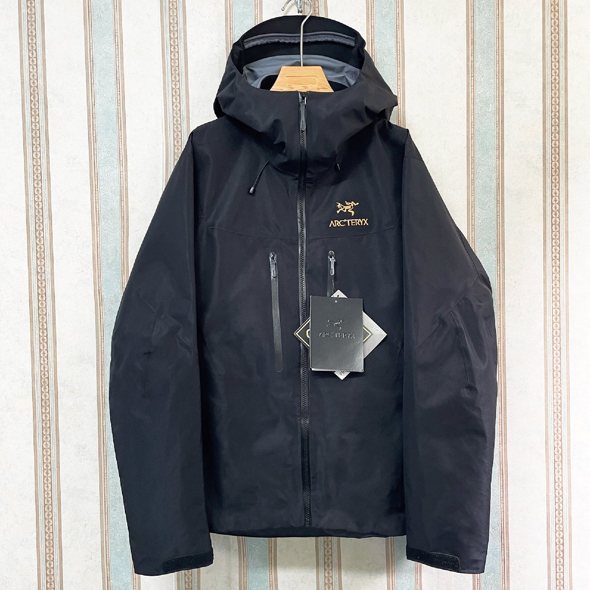 新品未使用 参考定価12万円 ARC’TERYX/アークテリクス - Alpha SV Jacket アルファ SV GORE-TEX/ゴアテックス シェル ジャケット Mの画像1