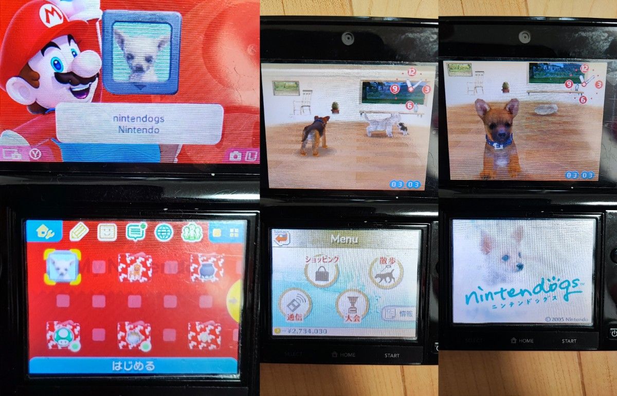 4個セット　ニンテンドッグス&キャッツ　柴　トイプードル　ダックス　チワワ　フレンズ　nintendogs cats