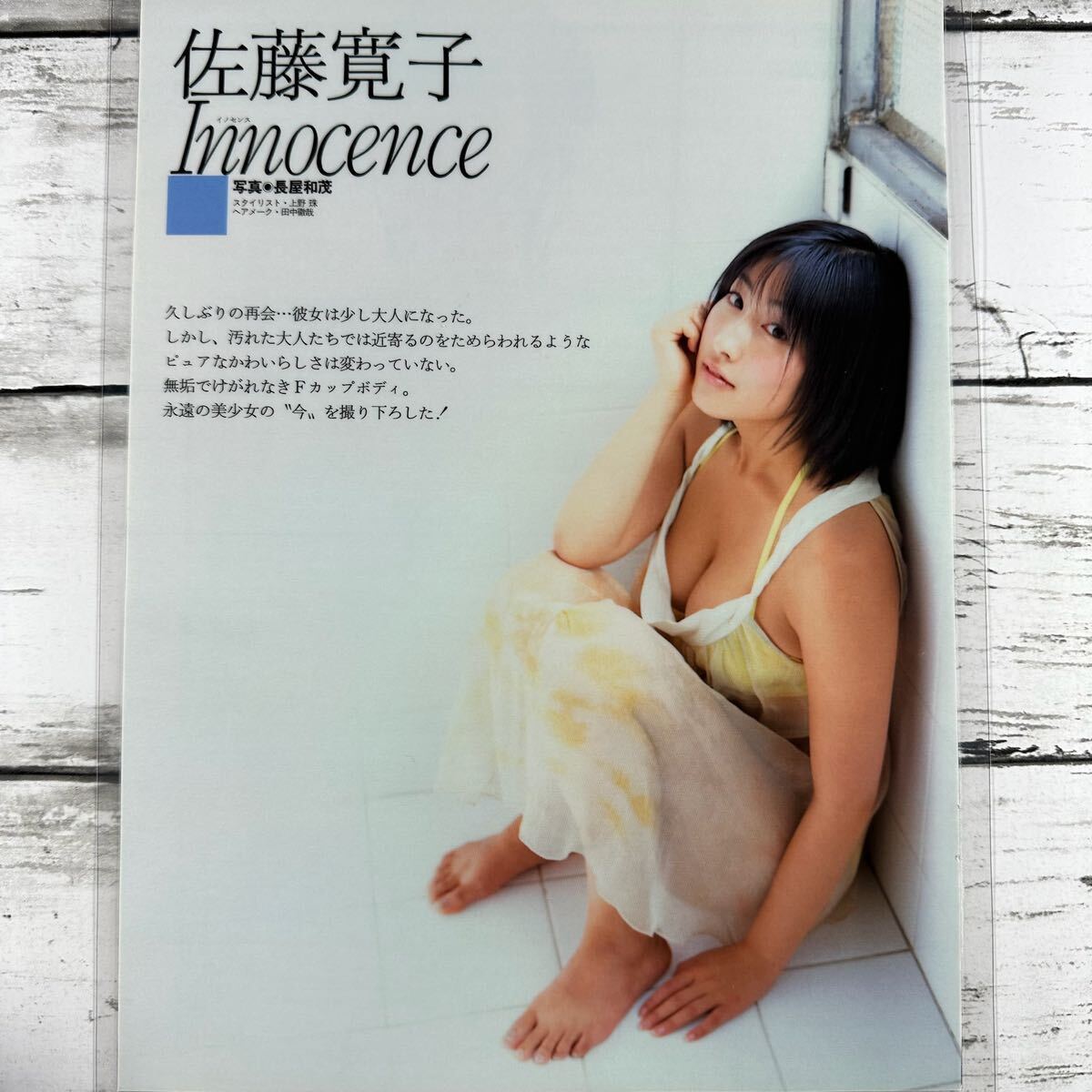 [高品質ラミネート処理][ 佐藤寛子 ] FLASH 2004年5/11号 雑誌 切り抜き 4ページ 水着 グラビア アイドル 芸能人 女優_画像3