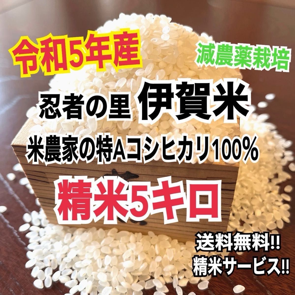 令和5年産伊賀米特Aコシヒカリ100%精米5キロ (農家直送)減農薬栽培