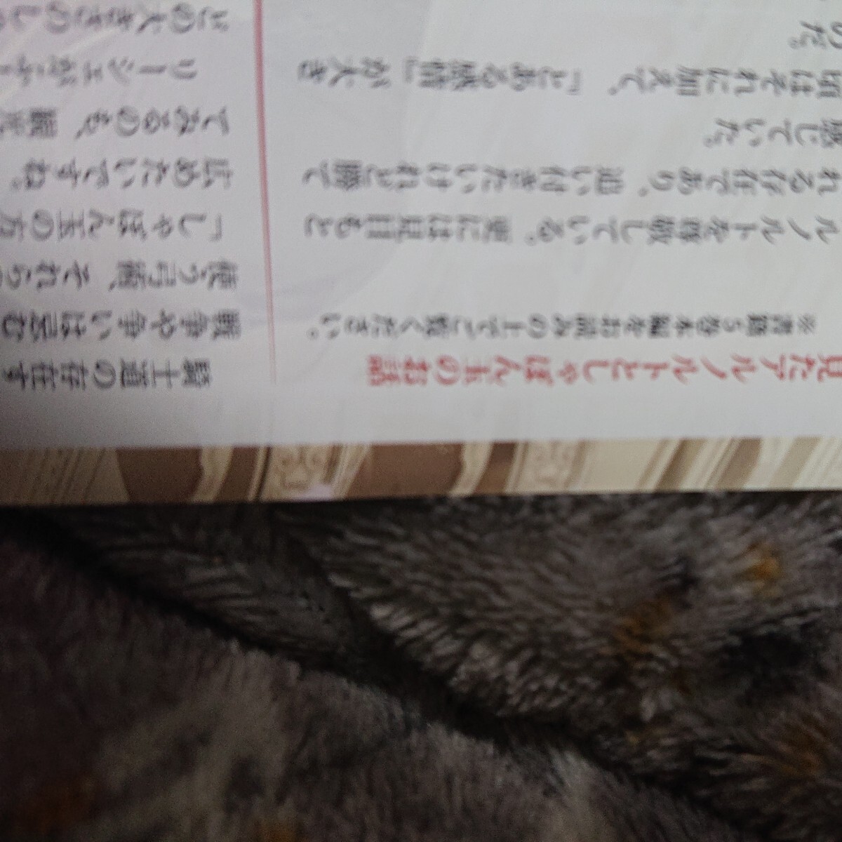 ２枚アニメイト特典ビジュアルボードループ7回目の悪役令嬢は、元敵国で自由気ままな花嫁生活を満喫する 5 雨川透子/八美☆わん 裏面SSの画像2