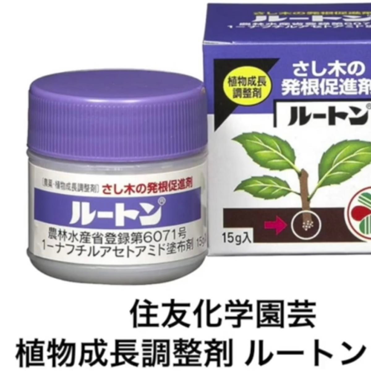 【金木犀】【キンモクセイ】挿木用のさし穂20本！挿木に適した若枝のみ→メネデール＋ルートン（発根促進剤）→すぐ発送します