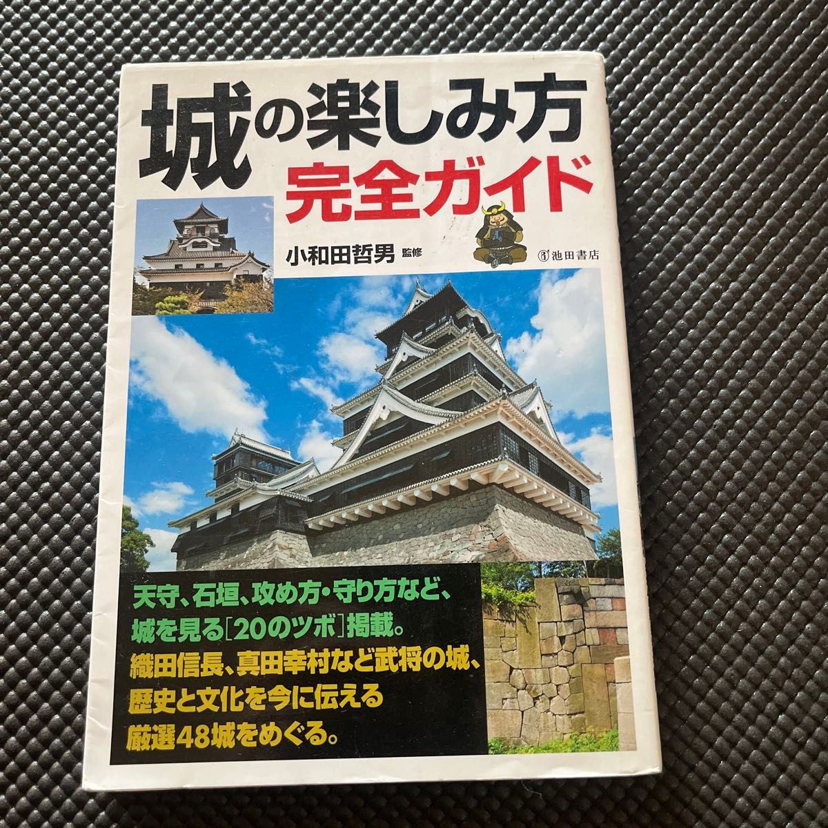 城の楽しみ方完全ガイド　城を深く知るための〈２０のツボ〉と名城４８の見どころを解説 小和田哲男／監修