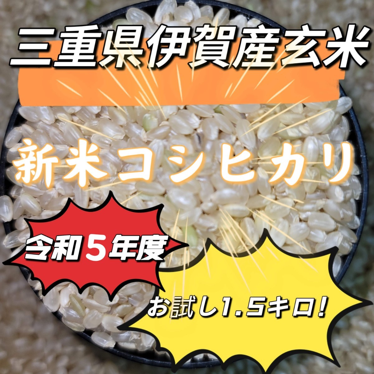 値下げ888→799円！新米！玄米！お試し【令和5年産】三重県 伊賀米 コシヒカリ 1.5㎏_画像1