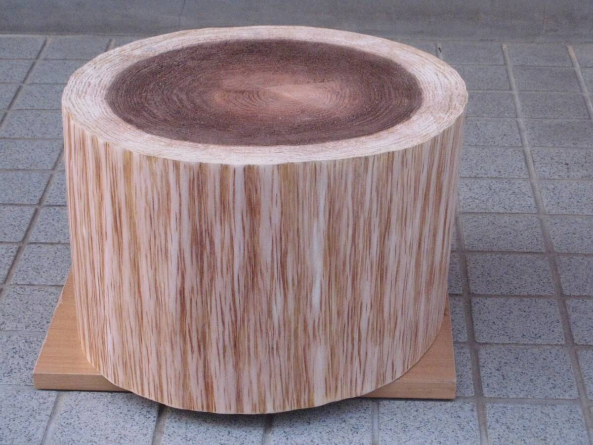 WN75 криптомерия круг futoshi диаметр 36~39cm× высота 24cm украшение шт. круг futoshi стул интерьер дисплей дрова десятая часть шт. верстак уличный садоводство скульптура DIY