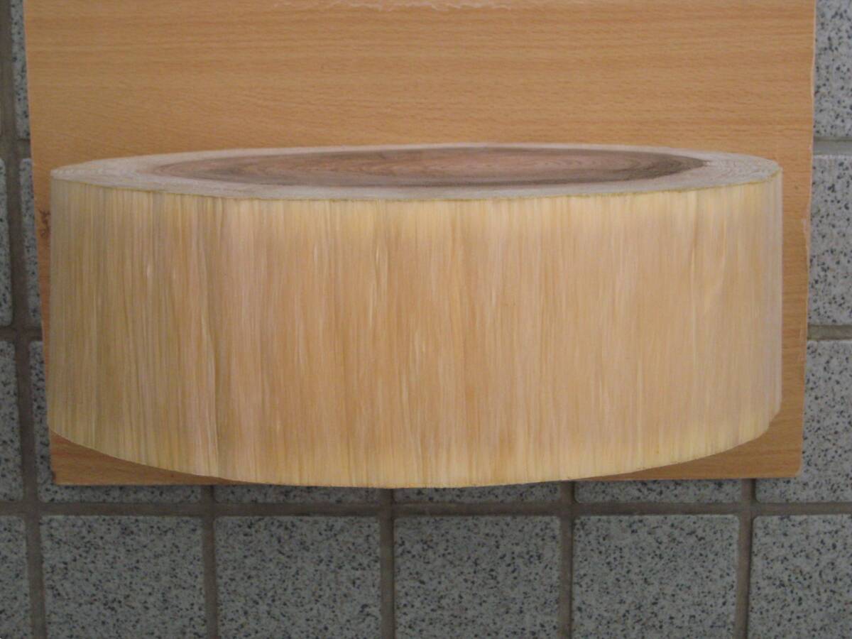 WN88 криптомерия круг futoshi диаметр 29~32cm× высота 10cm украшение шт. интерьер дисплей дрова десятая часть шт. верстак уличный кемпинг садоводство скульптура DIY домашнее животное 