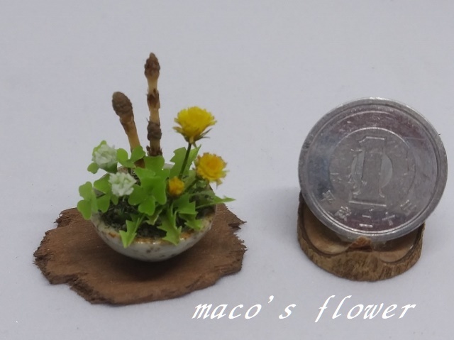 maco's miniature flower ♪つくし・たんぽぽ・白つめ草の寄せ植え♪_画像1