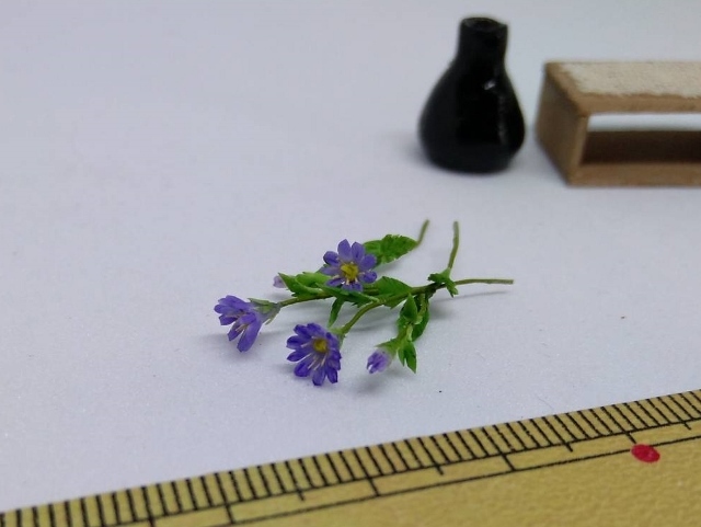 maco's miniature flower♪都忘れ♪_画像5