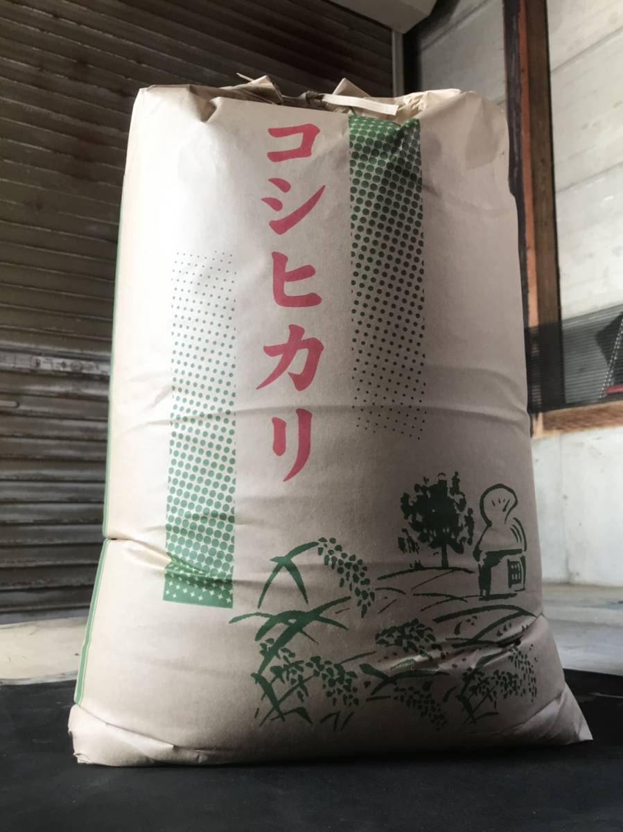 うま〜い新潟産 コシヒカリ25kg ☆ 令和 5年産 新米_画像1