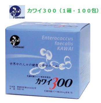 ⑦カワイ300　3箱セット（100包×3箱） 10包おまけ付　乳酸球菌カワイ株300mg含有　サプリメント_画像1