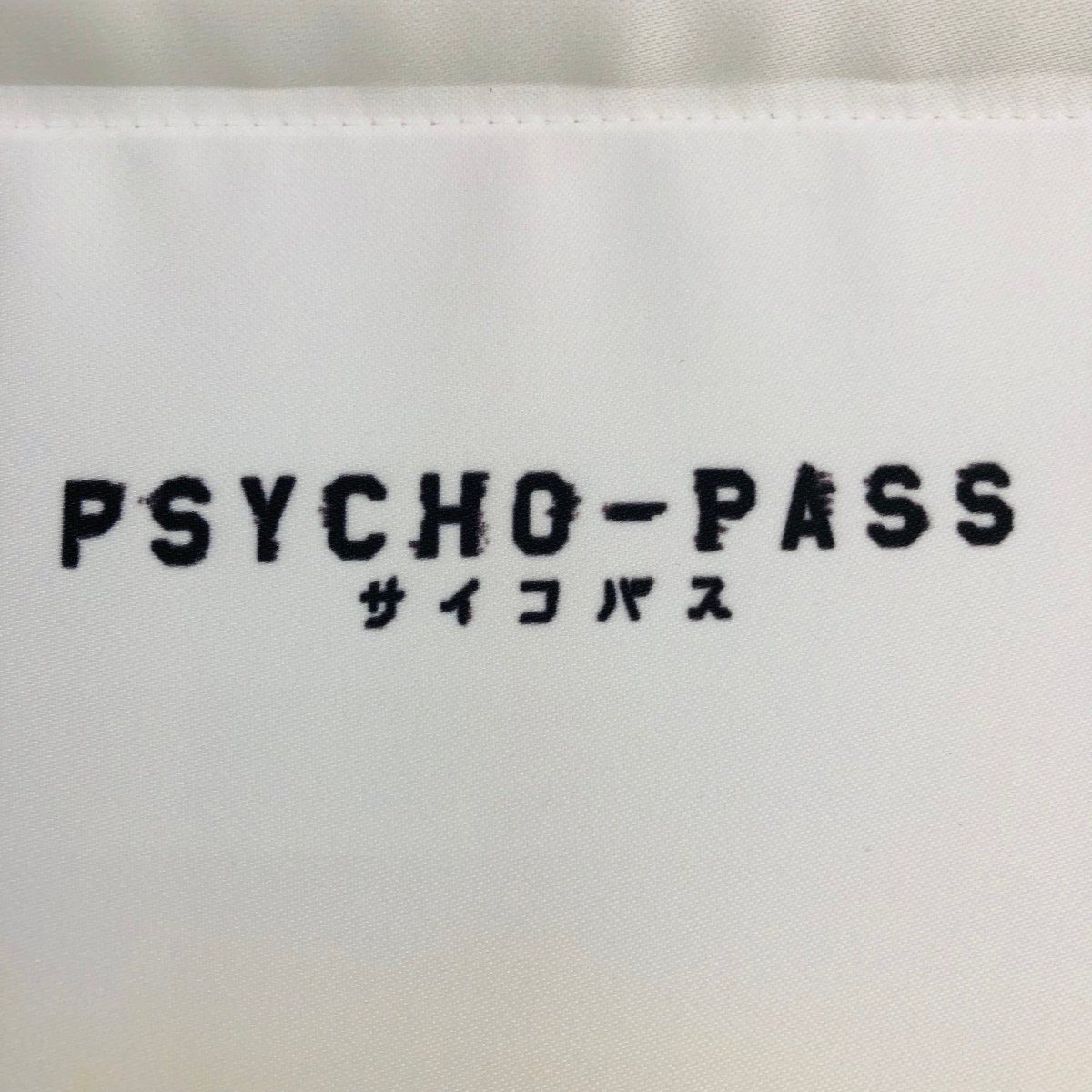 中古品 PSYCHO-PASS サイコパス B2タペストリー 集合_画像3