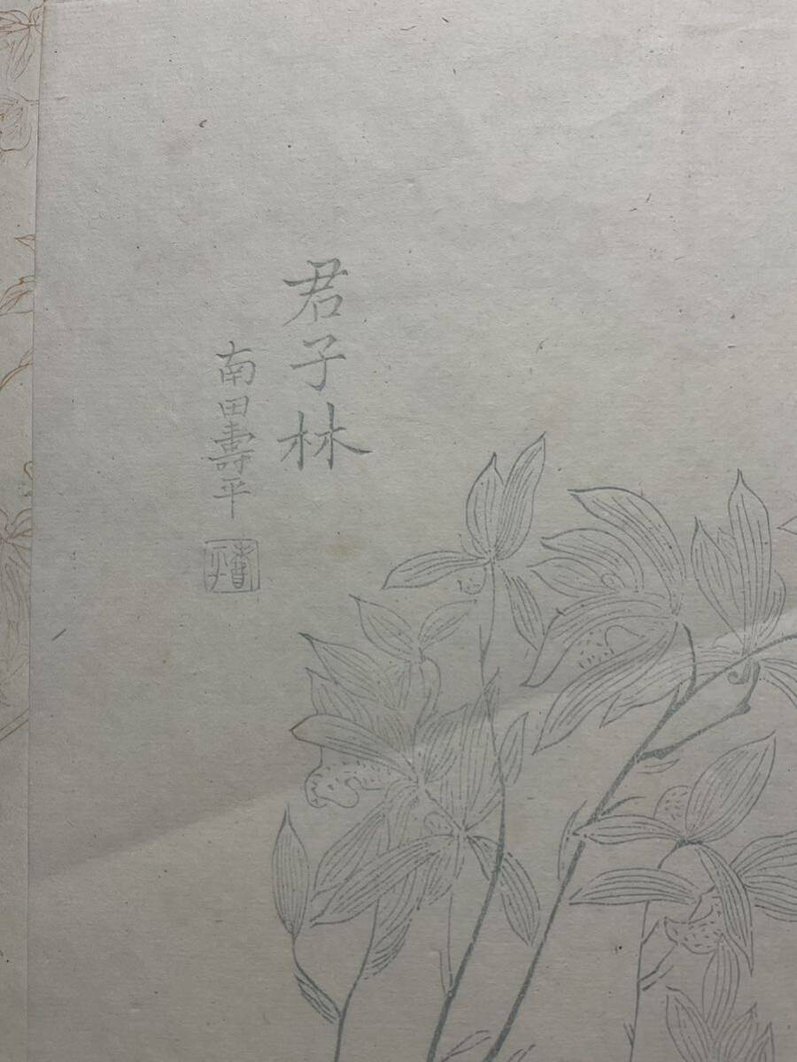 「朶雲軒木版水印信箋」20枚 未使用 和本唐本漢籍古書中国_画像6