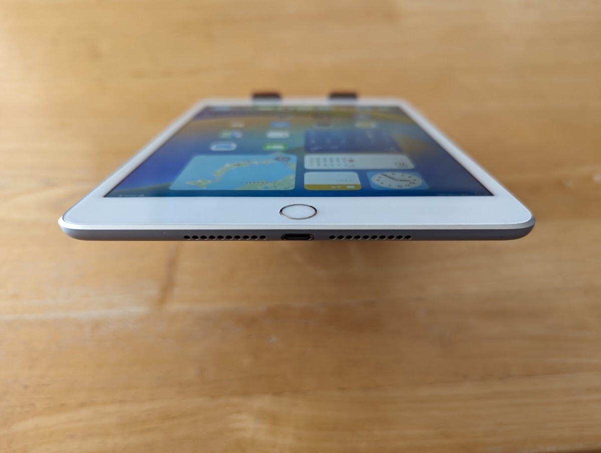 Apple iPad mini5 第5世代 Wi-Fi + Cellular シルバー 64GB docomo◯ アクティベーションロック解除済み 初期化済み_画像5