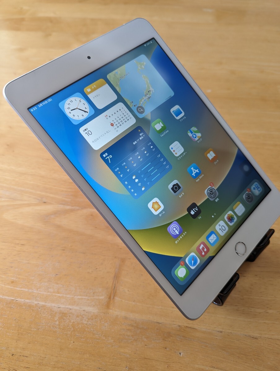Apple iPad mini5 第5世代 Wi-Fi + Cellular シルバー 64GB docomo◯ アクティベーションロック解除済み 初期化済み_画像3