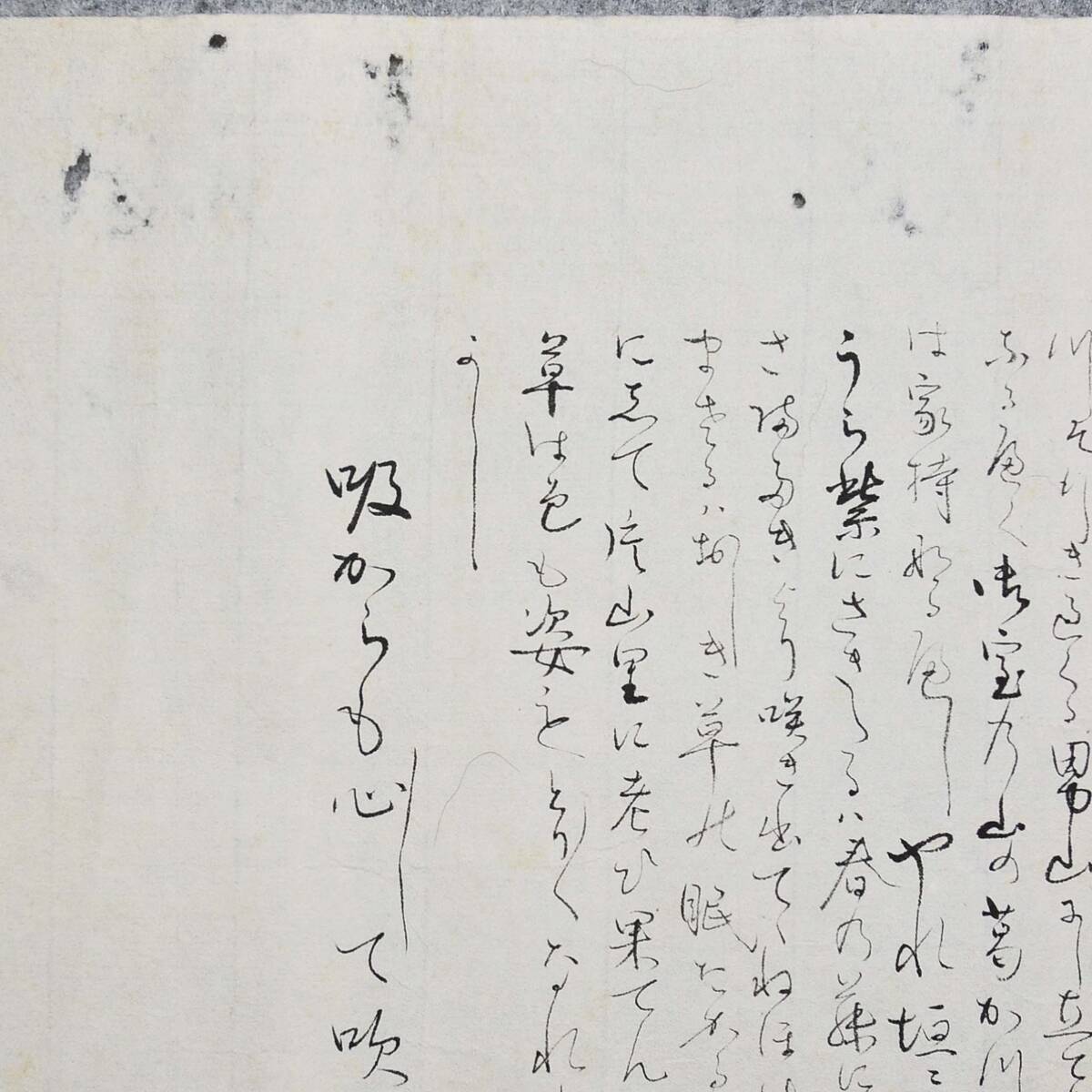 古文書 未解読 詳細不明 菩提樹菴 六城 _画像5