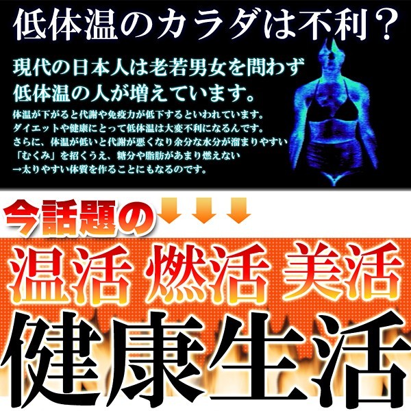 サプリメント 黒生姜 しょうが 黒大蒜 にんにく 黒胡椒 コショウ 黒玉葱 玉ねぎ タマネギ 黒酢 黒豆 黒ウコン ダイエット 美容 国産 安全_画像5