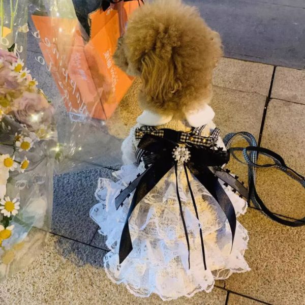 XSサイズ◆【ラスト1枚】犬服 ツイード レース 襟付き 上品 ワンピース 小型犬用 ドッグウェア 新品 ドレス 新作 高級感 リボン 春秋 清楚_画像2