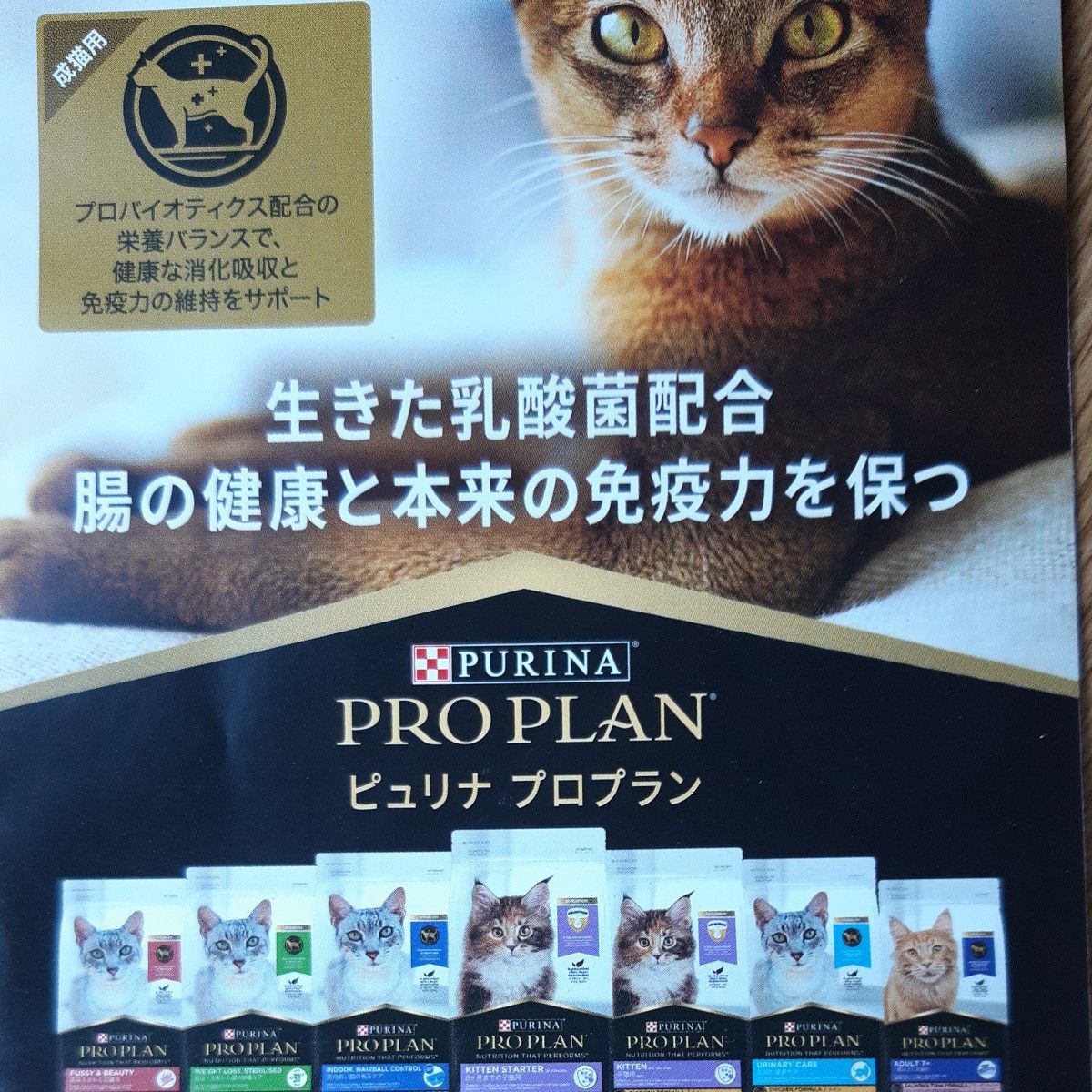 新品正規品★ピュリナプロプラン★美味を求める成猫用/サーモン3.0kg/プレミアムキャットフード　　高タンパク設計　生きた乳酸菌