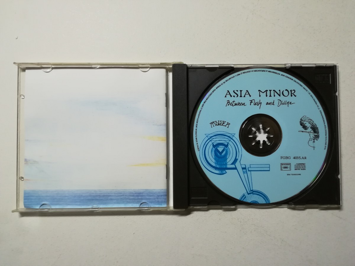 【CD】Asia Minor - Between Flesh And Divine 1980年(1991年フランス盤) フランスシンフォプログレ名盤 の画像3