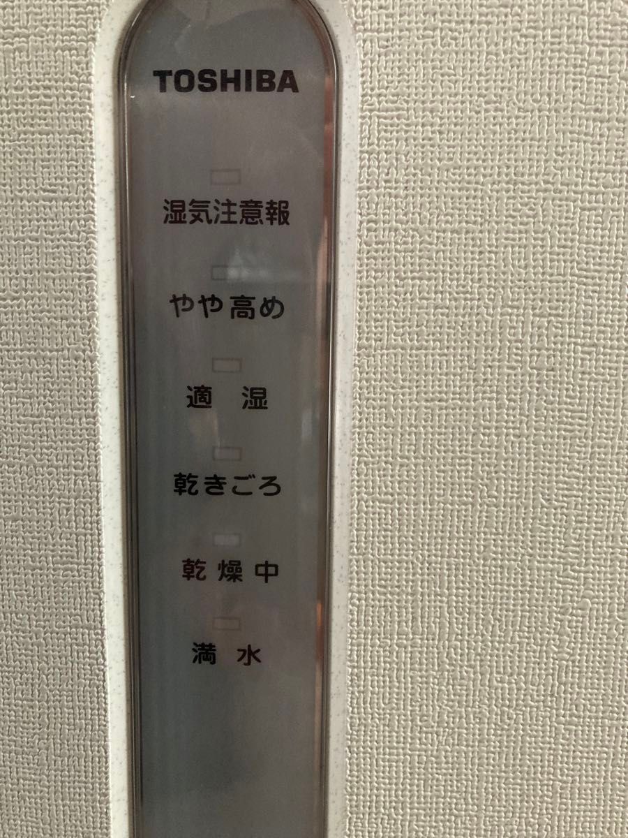 TOSHIBA 東芝 除湿機 RAD-C100DEX 衣類乾燥機　取説あり