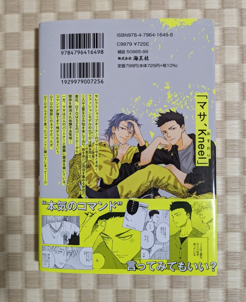 【ためしにコマンド言ってみた】ゆくえ萌葱☆コミコミスタジオ有償小冊子・リーフレット・ぺーパー2枚付き☆2024年3月初版_画像3