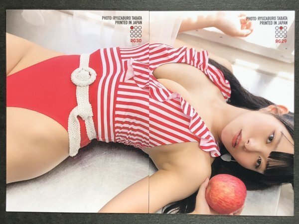 桜井 木穂 Vo.３ RG29・30 2枚セット 水着 サード グラビア アイドル トレカ トレーディングカードの画像1