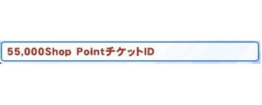 ラグナロクオンライン 55000shoppoint チケット コスタマ他の画像1